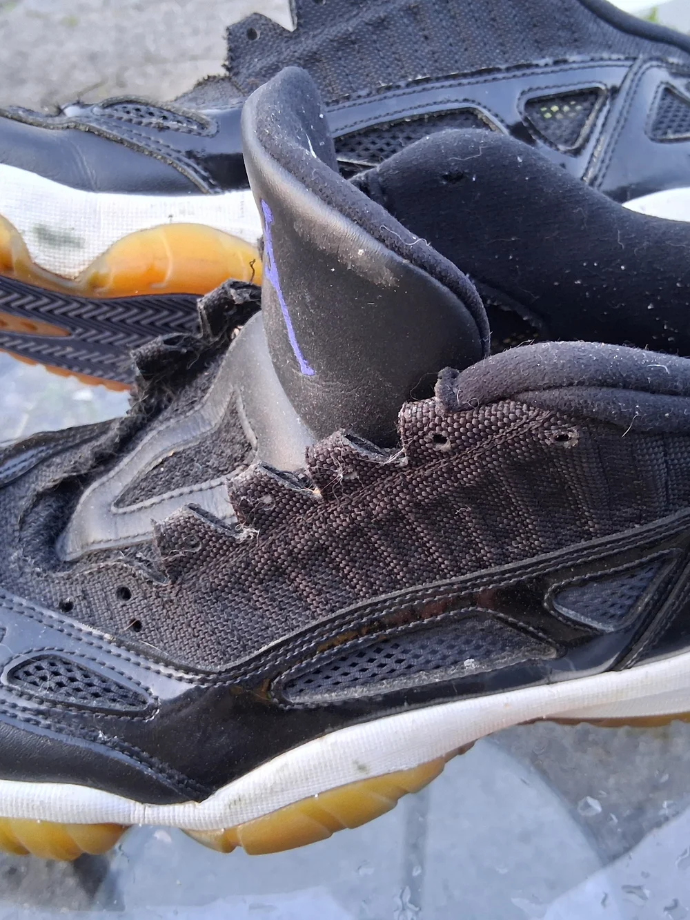 Air Jordan 11 Retro Low IE 